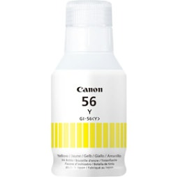 CANGI56Y